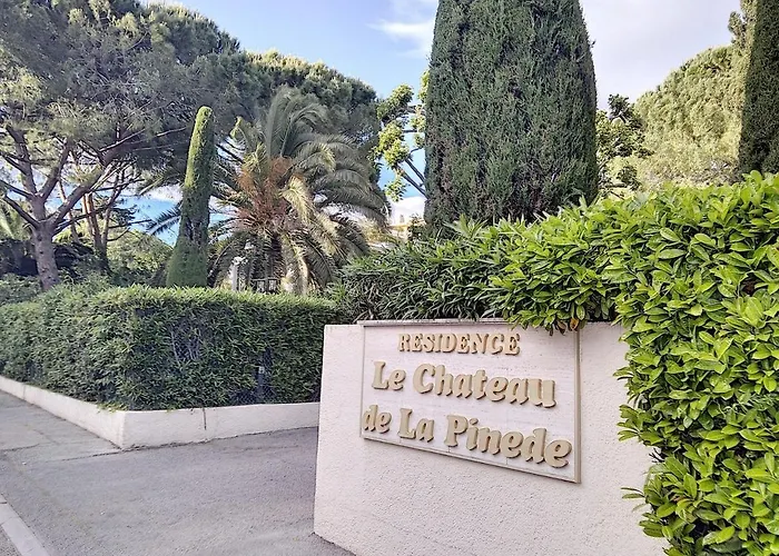 Chateau De La Pinede Daire *