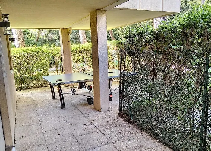 Chateau De La Pinede Daire